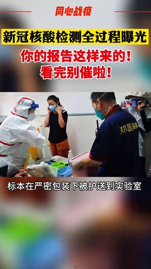 核酸爆料视频大全,视频大全背后的真相与争议  第2张